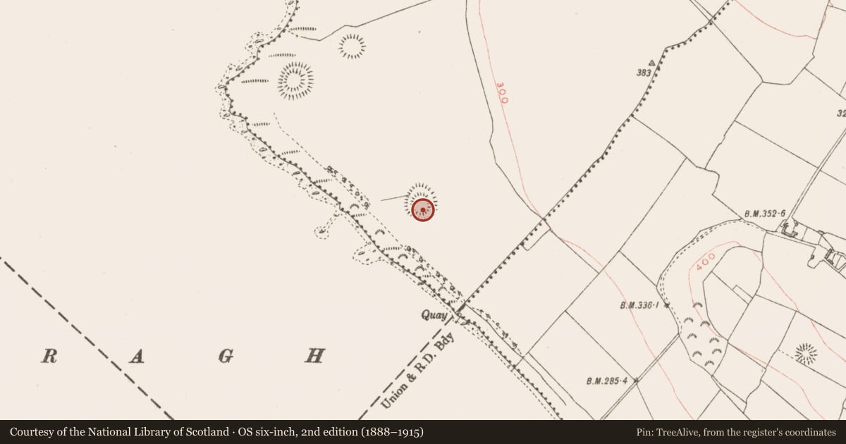 Ordnance Survey six-inch map, 2nd edition (1888–1915) covering the location of Earthwork, Kiltoom, County Westmeath, with a pin at the register's coordinates
