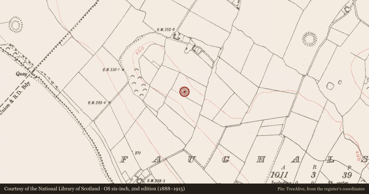 Ordnance Survey six-inch map, 2nd edition (1888–1915) covering the location of Ringfort - rath, Faughalstown, County Westmeath, with a pin at the register's coordinates