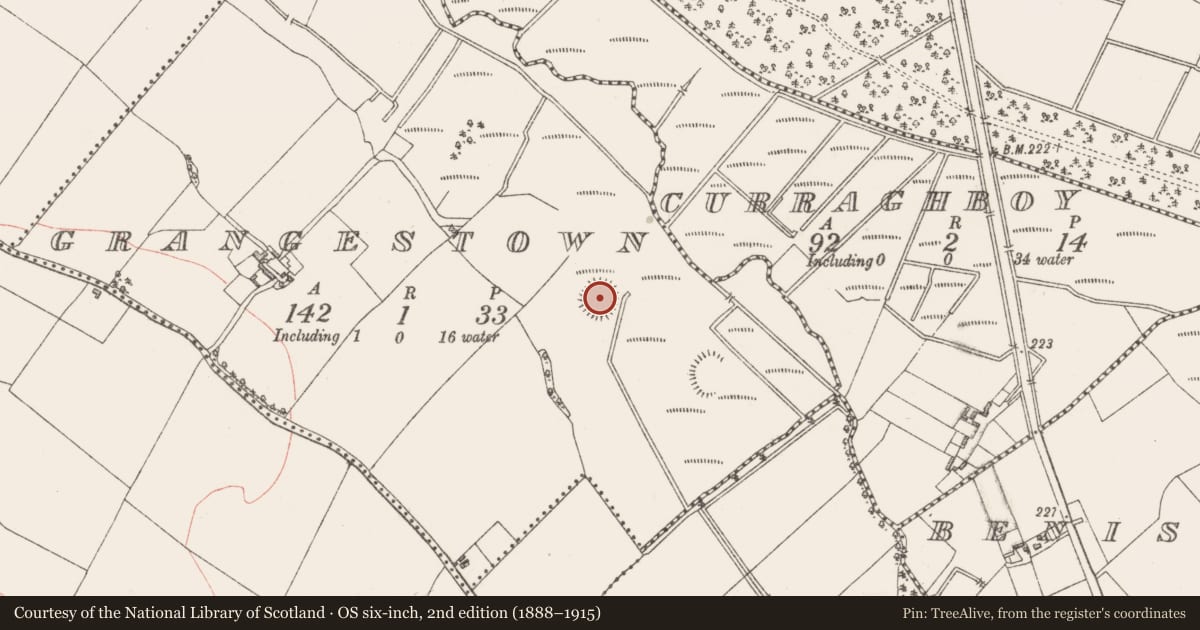 Ordnance Survey six-inch map, 2nd edition (1888–1915) covering the location of Ringfort - rath, Grangestown, County Westmeath, with a pin at the register's coordinates