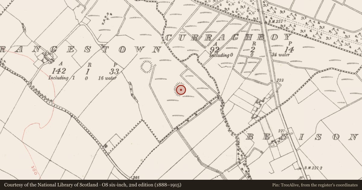 Ordnance Survey six-inch map, 2nd edition (1888–1915) covering the location of Ringfort - rath, Grangestown, County Westmeath, with a pin at the register's coordinates