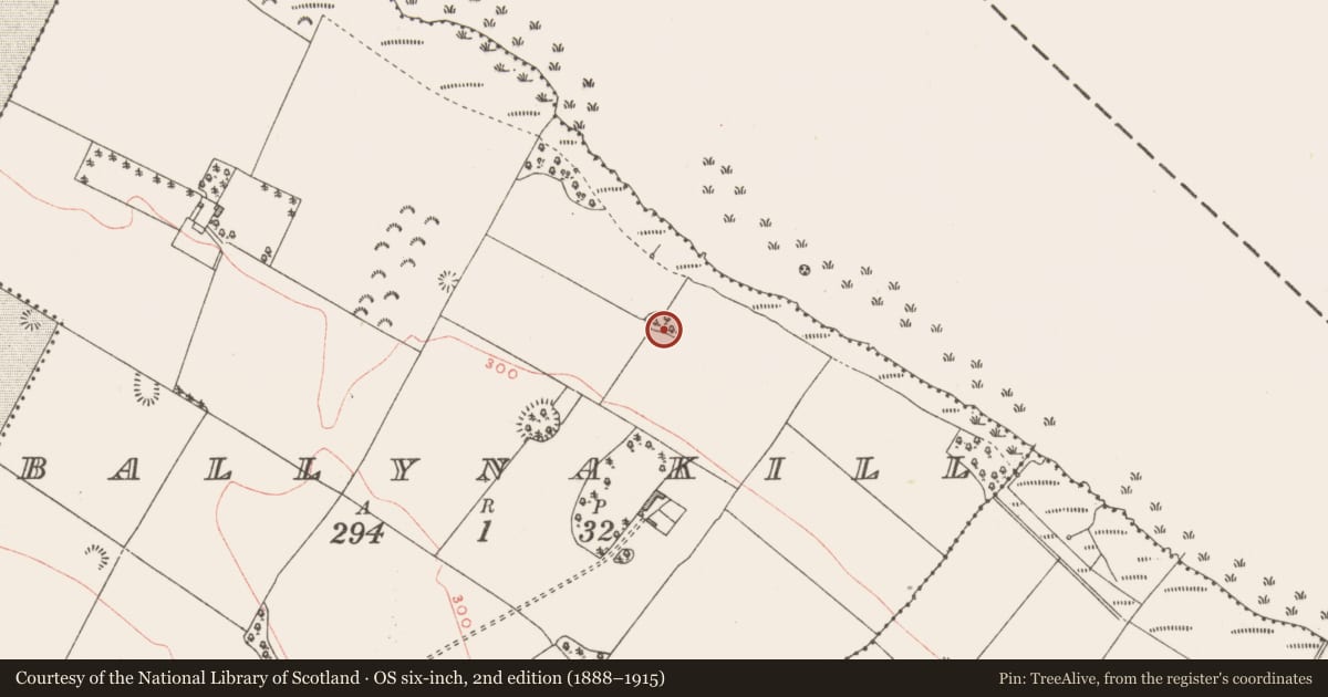 Ordnance Survey six-inch map, 2nd edition (1888–1915) covering the location of Ringfort - unclassified, Ballynakill, County Westmeath, with a pin at the register's coordinates