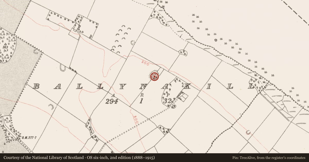 Ordnance Survey six-inch map, 2nd edition (1888–1915) covering the location of Ringfort - rath, Ballynakill, County Westmeath, with a pin at the register's coordinates