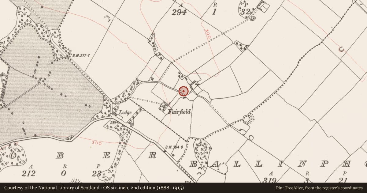 Ordnance Survey six-inch map, 2nd edition (1888–1915) covering the location of Hut site, Ballynakill, County Westmeath, with a pin at the register's coordinates