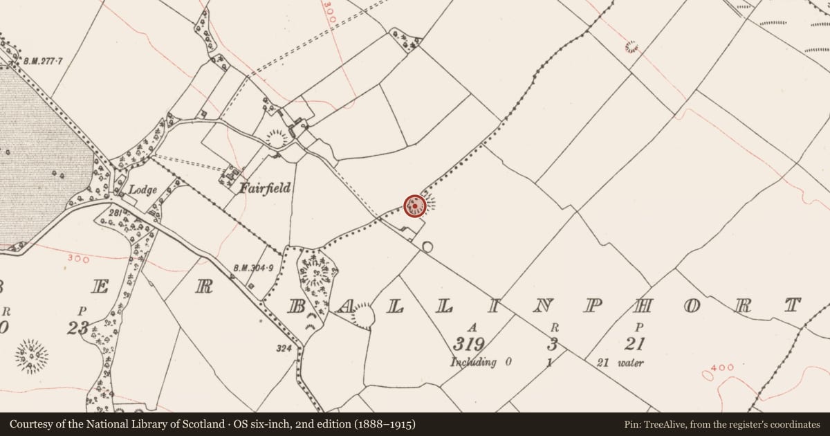 Ordnance Survey six-inch map, 2nd edition (1888–1915) covering the location of Ringfort - rath, Ballinphort, Ballynakill, County Westmeath, with a pin at the register's coordinates