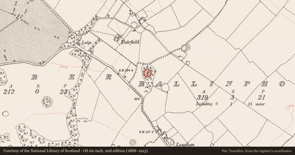 Ordnance Survey six-inch map, 2nd edition (1888–1915) covering the location of Ringfort - rath, Ballinphort, County Westmeath, with a pin at the register's coordinates