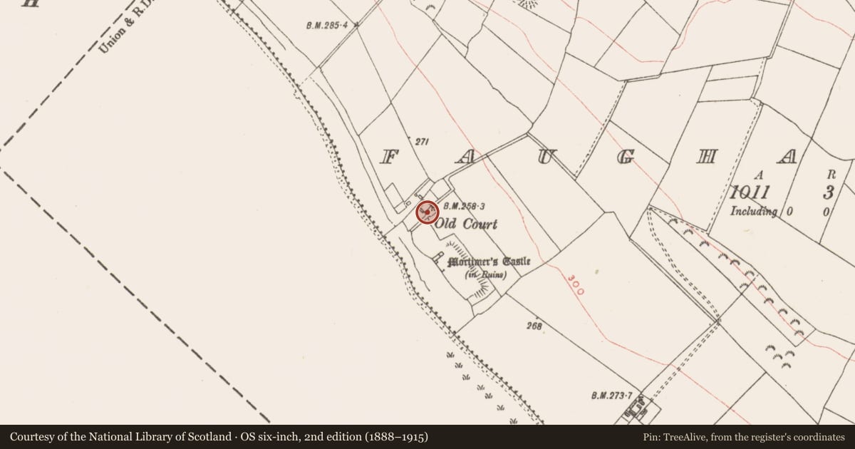 Ordnance Survey six-inch map, 2nd edition (1888–1915) covering the location of House - 18th/19th century, Faughalstown, County Westmeath, with a pin at the register's coordinates