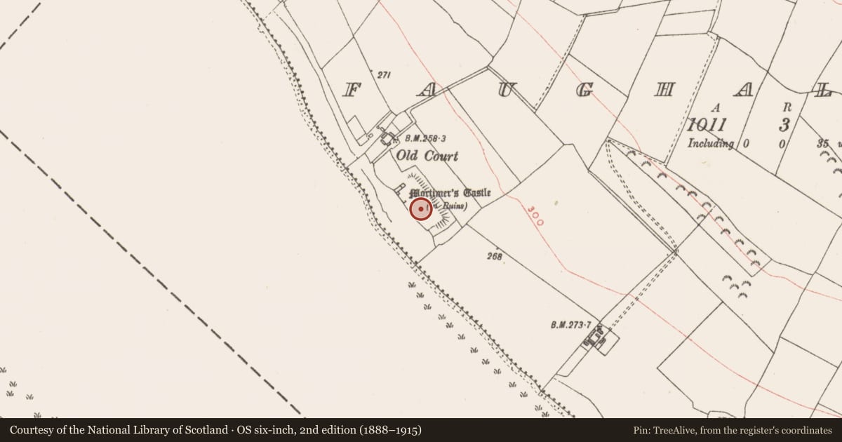 Ordnance Survey six-inch map, 2nd edition (1888–1915) covering the location of Castle - unclassified, Faughalstown, County Westmeath, with a pin at the register's coordinates
