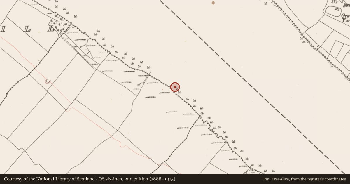 Ordnance Survey six-inch map, 2nd edition (1888–1915) covering the location of Pier/Jetty, Ballinphort, County Westmeath, with a pin at the register's coordinates