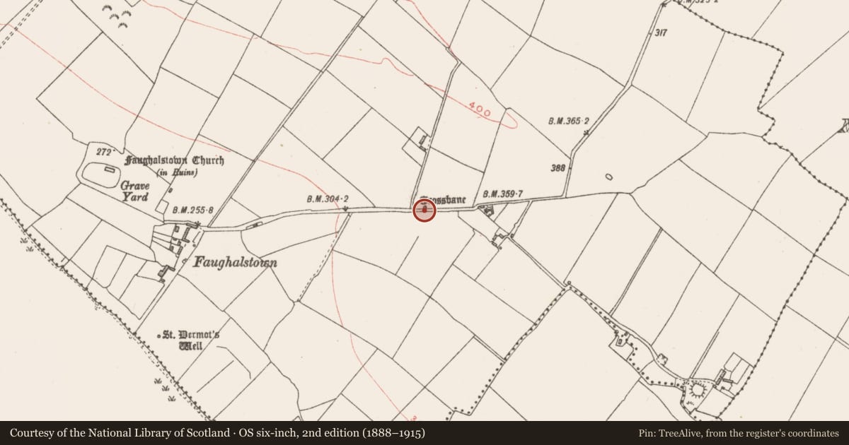 Ordnance Survey six-inch map, 2nd edition (1888–1915) covering the location of Cross - Wayside cross, Faughalstown, County Westmeath, with a pin at the register's coordinates