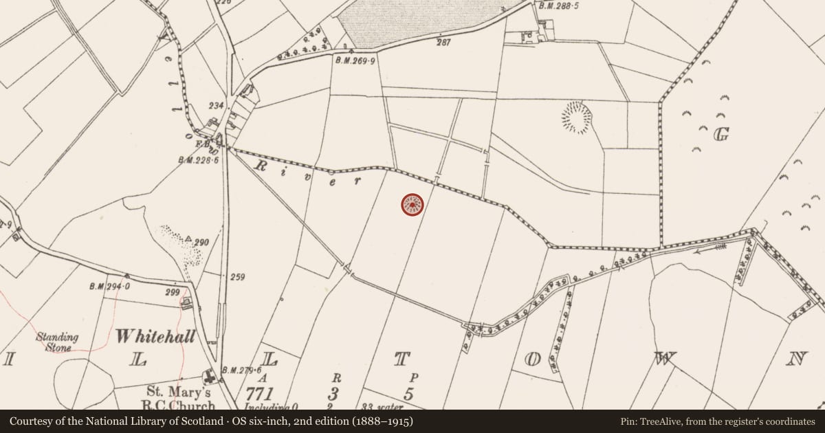 Ordnance Survey six-inch map, 2nd edition (1888–1915) covering the location of Ringfort - rath, Milltown, County Westmeath, with a pin at the register's coordinates