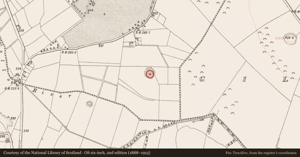 Ordnance Survey six-inch map, 2nd edition (1888–1915) covering the location of Ringfort - rath, Benisonlodge, County Westmeath, with a pin at the register's coordinates