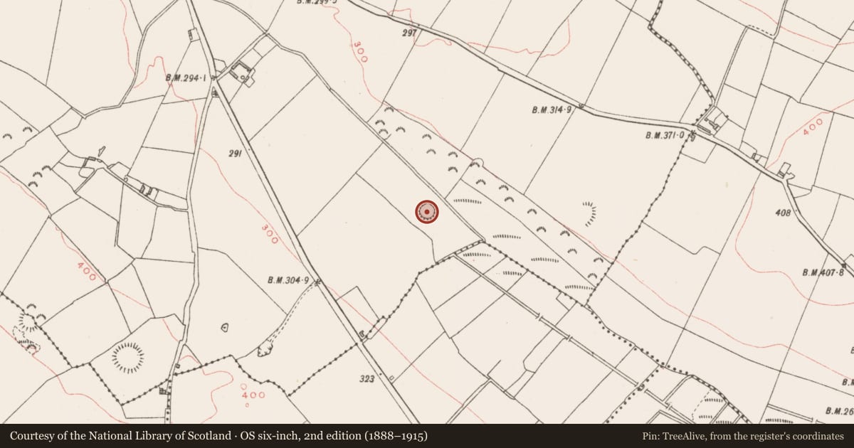 Ordnance Survey six-inch map, 2nd edition (1888–1915) covering the location of Ringfort - rath, Milltown, County Westmeath, with a pin at the register's coordinates