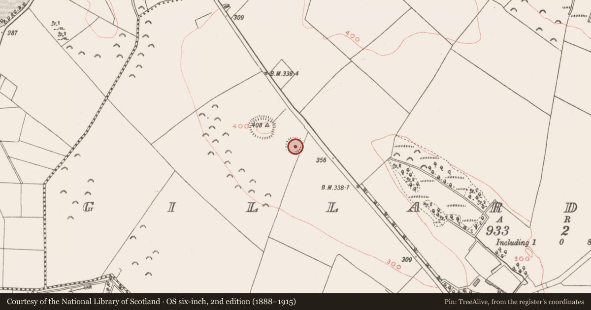 Ordnance Survey six-inch map, 2nd edition (1888–1915) covering the location of Ringfort - rath, Gillardstown, County Westmeath, with a pin at the register's coordinates