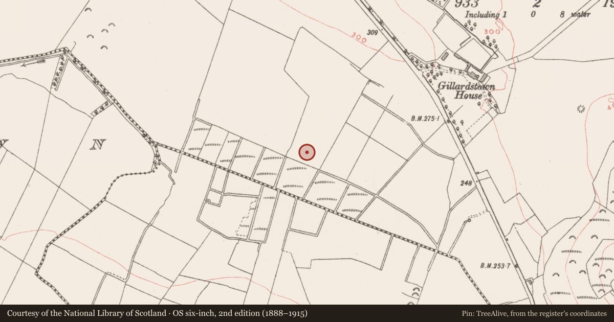 Ordnance Survey six-inch map, 2nd edition (1888–1915) covering the location of Ringfort - rath, Gillardstown, County Westmeath, with a pin at the register's coordinates