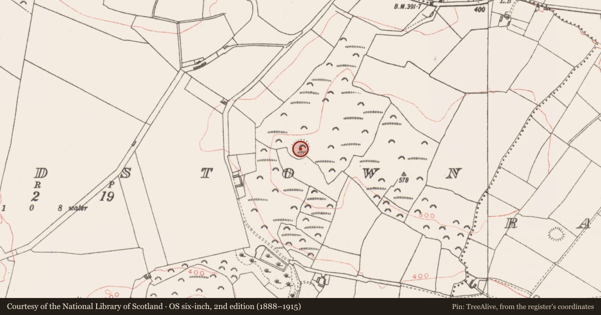 Ordnance Survey six-inch map, 2nd edition (1888–1915) covering the location of Ringfort - rath, Gillardstown, County Westmeath, with a pin at the register's coordinates