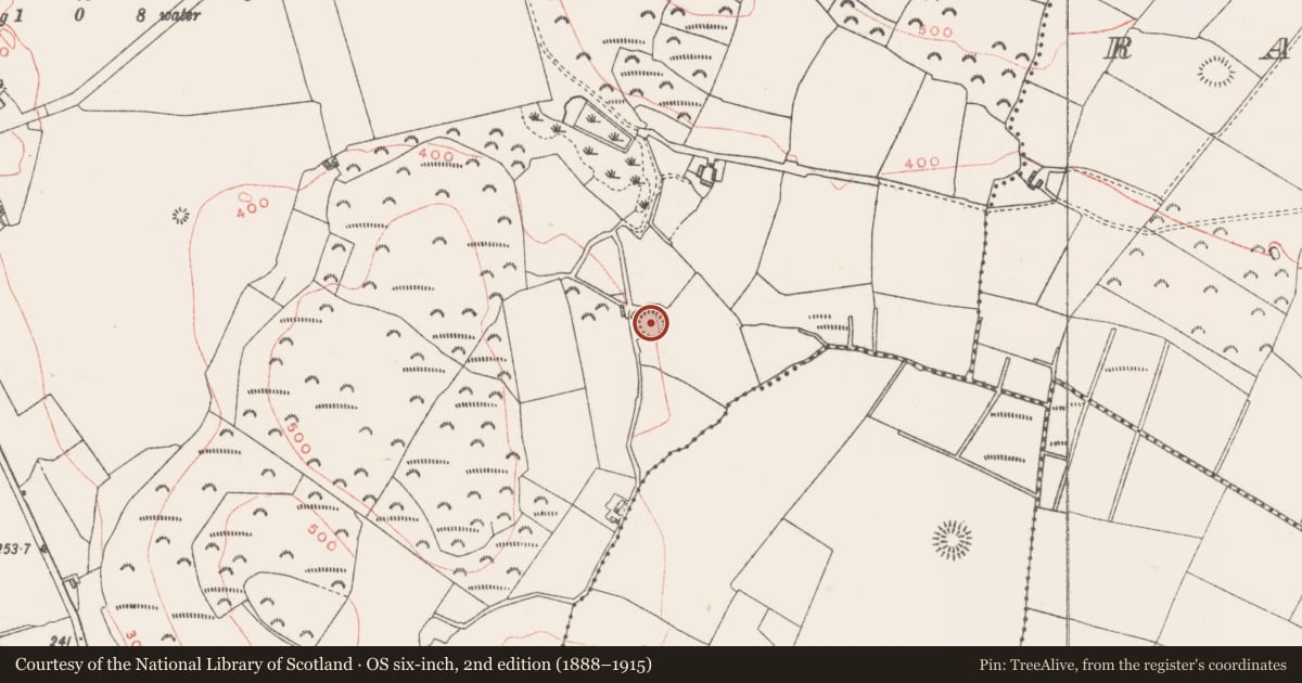 Ordnance Survey six-inch map, 2nd edition (1888–1915) covering the location of Ringfort - rath, Gillardstown, County Westmeath, with a pin at the register's coordinates