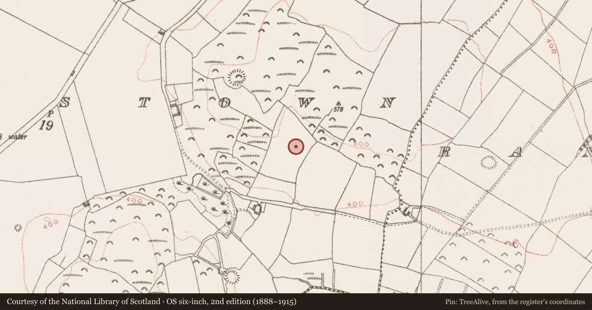 Ordnance Survey six-inch map, 2nd edition (1888–1915) covering the location of Ringfort - unclassified, Gillardstown, County Westmeath, with a pin at the register's coordinates