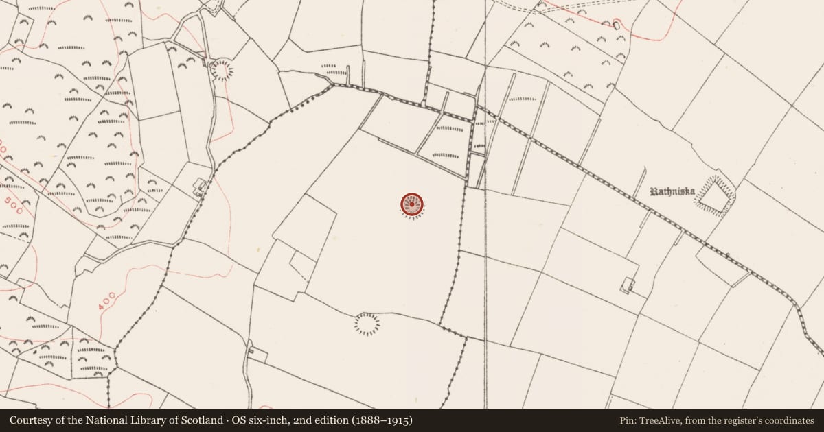 Ordnance Survey six-inch map, 2nd edition (1888–1915) covering the location of Ringfort - rath, Derrynagarragh, County Westmeath, with a pin at the register's coordinates