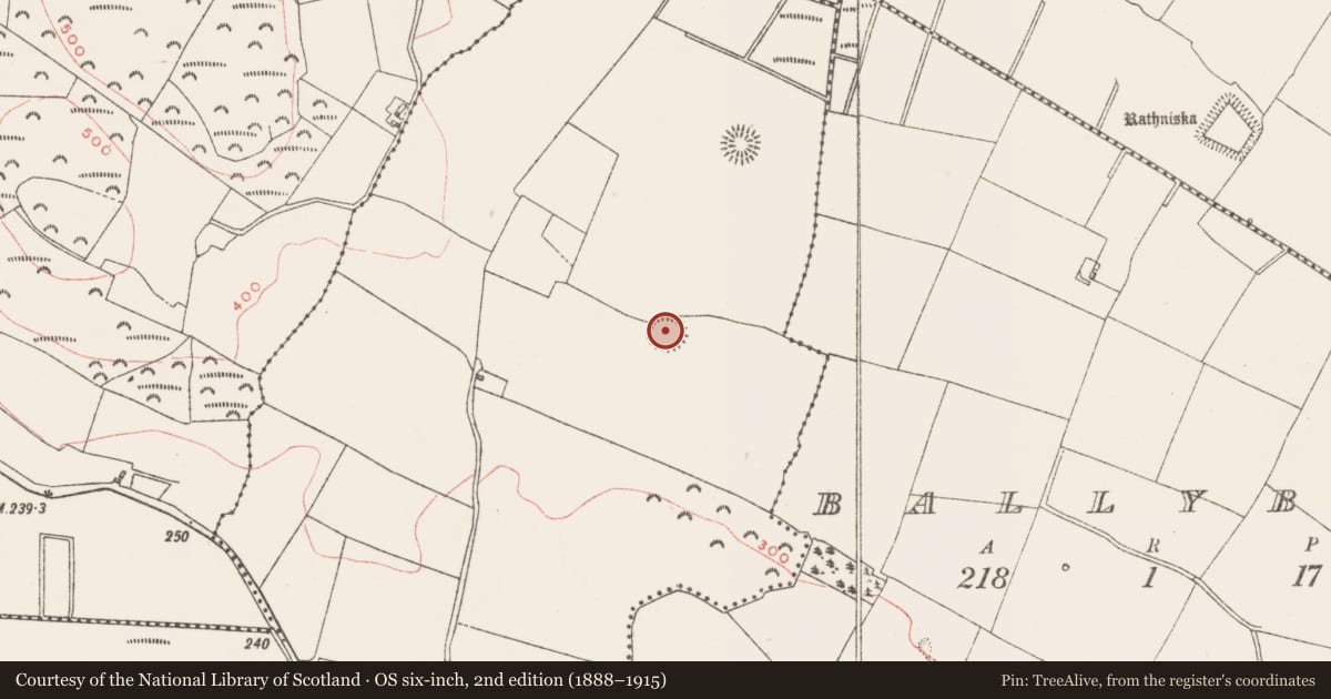Ordnance Survey six-inch map, 2nd edition (1888–1915) covering the location of Ringfort - rath, Derrynagarragh, County Westmeath, with a pin at the register's coordinates