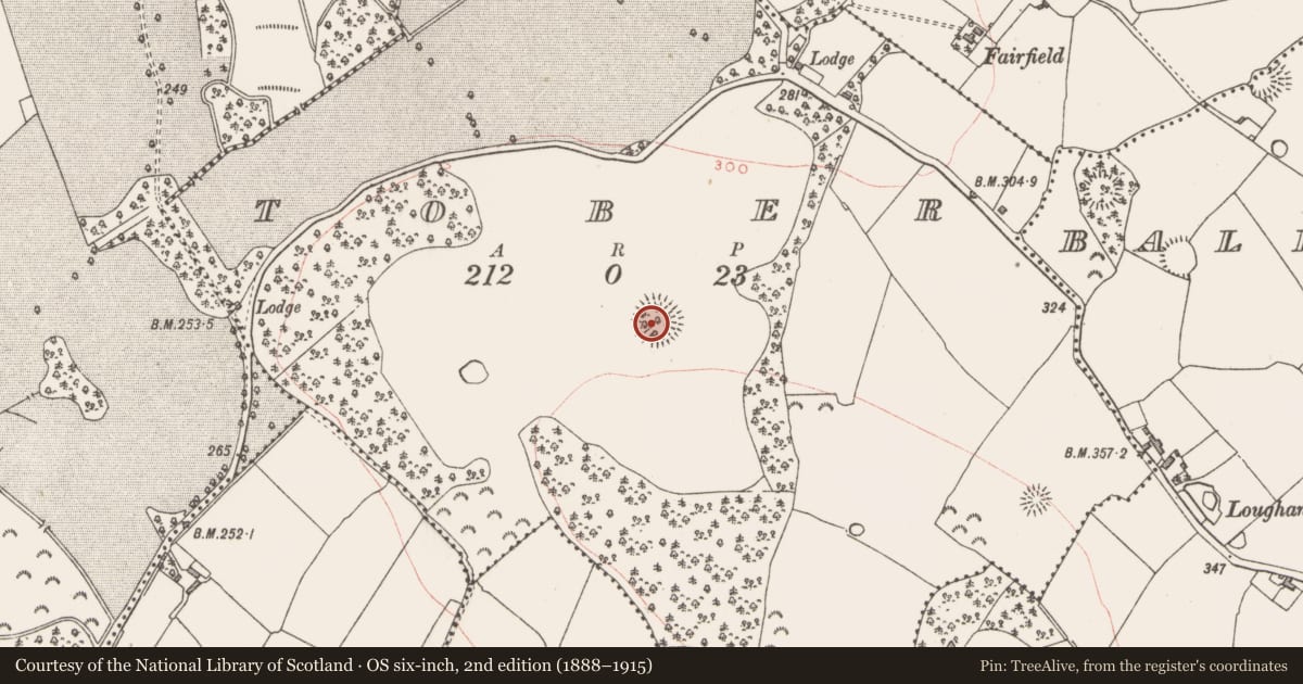Ordnance Survey six-inch map, 2nd edition (1888–1915) covering the location of Ringfort - rath, Tober, County Westmeath, with a pin at the register's coordinates