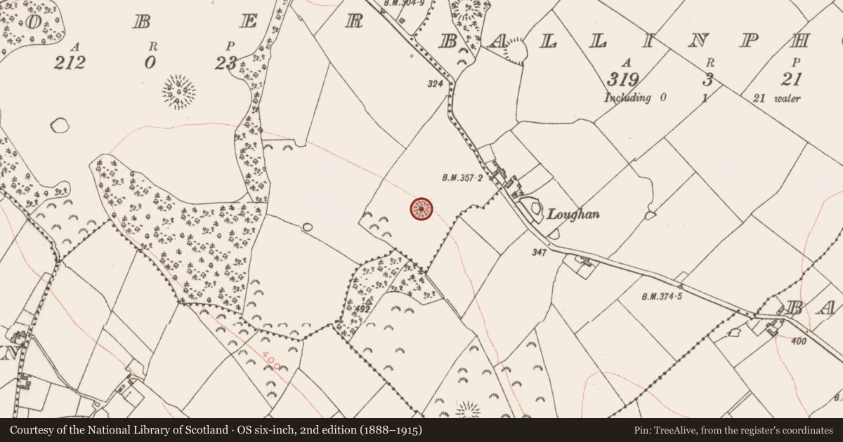Ordnance Survey six-inch map, 2nd edition (1888–1915) covering the location of Ringfort - rath, Tober, County Westmeath, with a pin at the register's coordinates