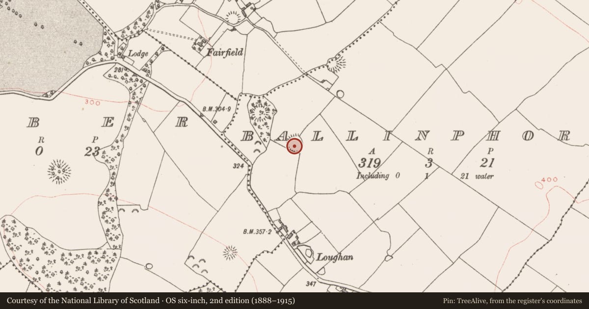 Ordnance Survey six-inch map, 2nd edition (1888–1915) covering the location of Ringfort - rath, Ballinphort, County Westmeath, with a pin at the register's coordinates