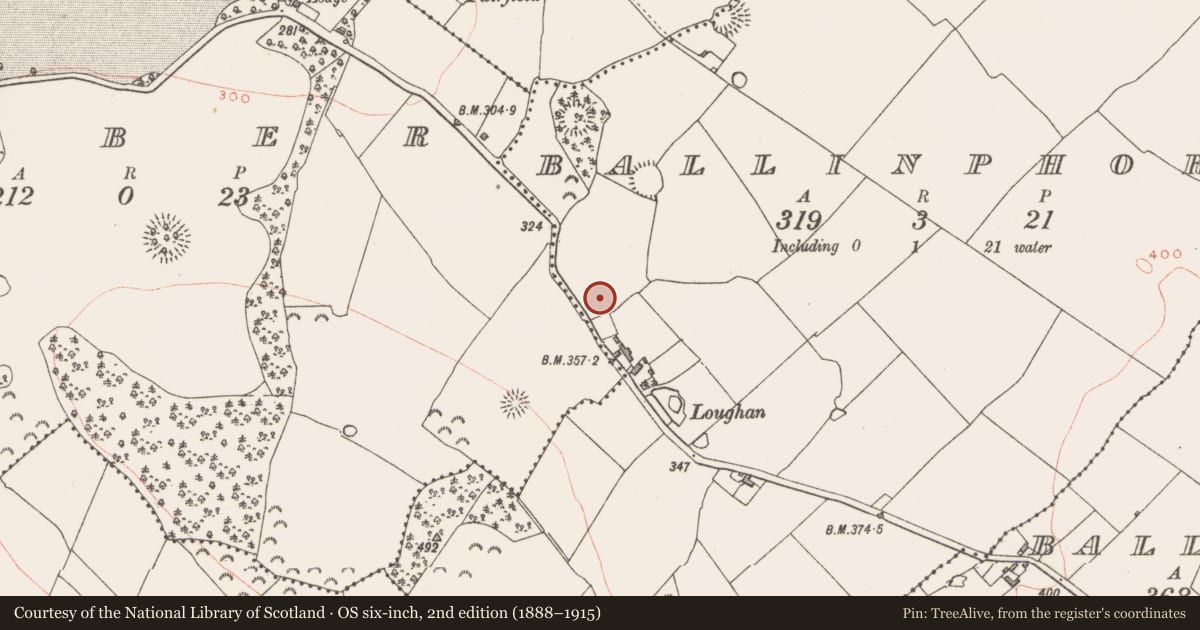 Ordnance Survey six-inch map, 2nd edition (1888–1915) covering the location of Ringfort - rath, Ballinphort, County Westmeath, with a pin at the register's coordinates