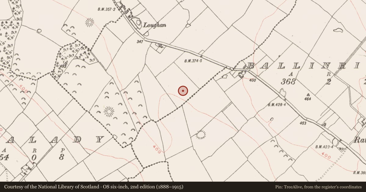Ordnance Survey six-inch map, 2nd edition (1888–1915) covering the location of Ringfort - rath, Ballinphort, County Westmeath, with a pin at the register's coordinates