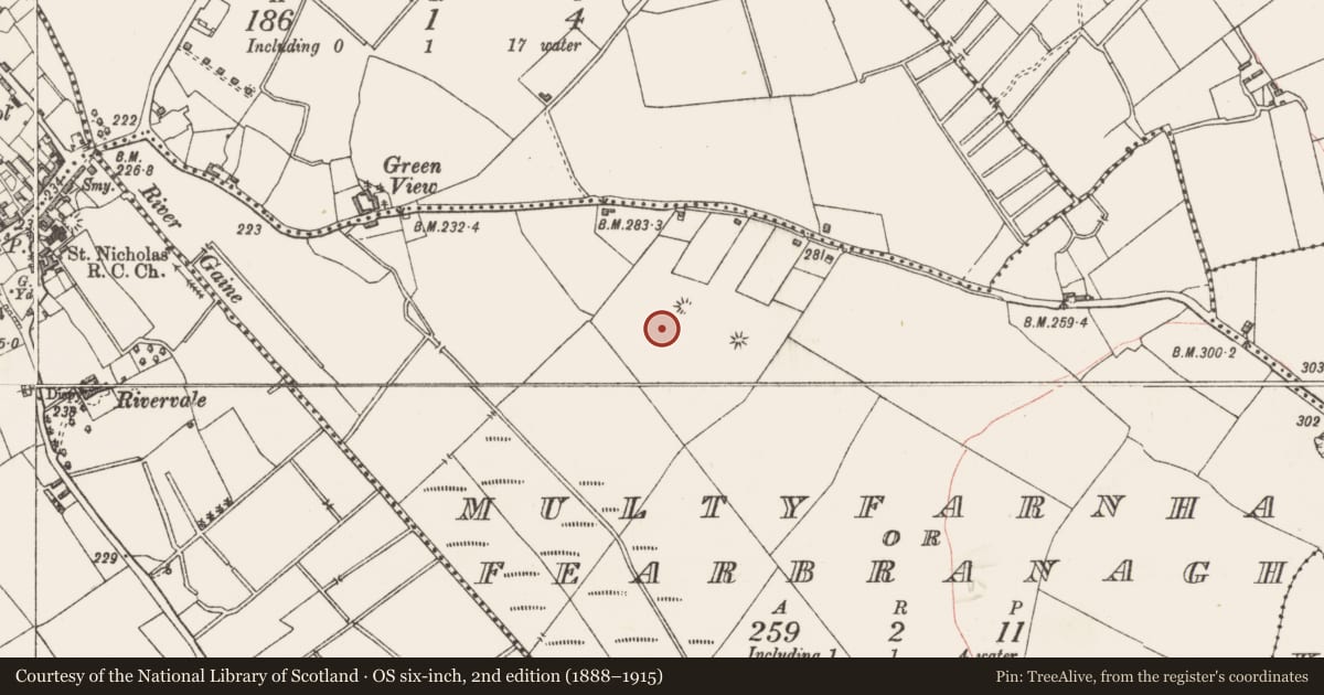 Ordnance Survey six-inch map, 2nd edition (1888–1915) covering the location of Mound, Multyfarnham Or Fearbranagh, County Westmeath, with a pin at the register's coordinates