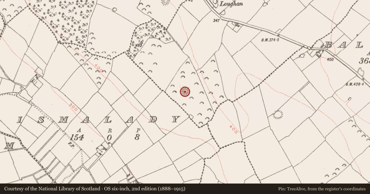 Ordnance Survey six-inch map, 2nd edition (1888–1915) covering the location of Ringfort - rath, Ballinphort, County Westmeath, with a pin at the register's coordinates