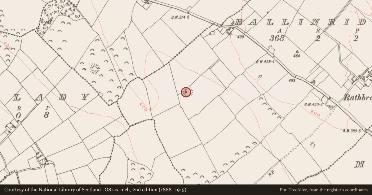 Ordnance Survey six-inch map, 2nd edition (1888–1915) covering the location of Hut site, Ballinriddera, County Westmeath, with a pin at the register's coordinates