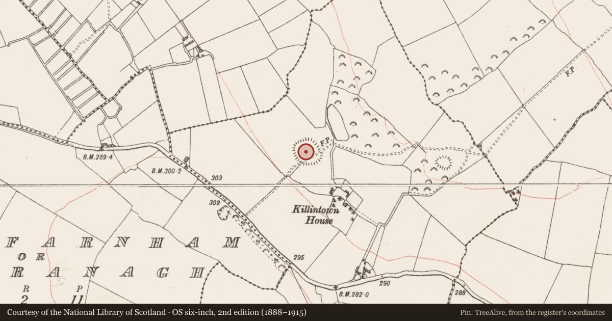 Ordnance Survey six-inch map, 2nd edition (1888–1915) covering the location of Ringfort - rath, Killintown, County Westmeath, with a pin at the register's coordinates