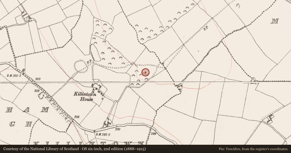 Ordnance Survey six-inch map, 2nd edition (1888–1915) covering the location of Ringfort - rath, Killintown, County Westmeath, with a pin at the register's coordinates