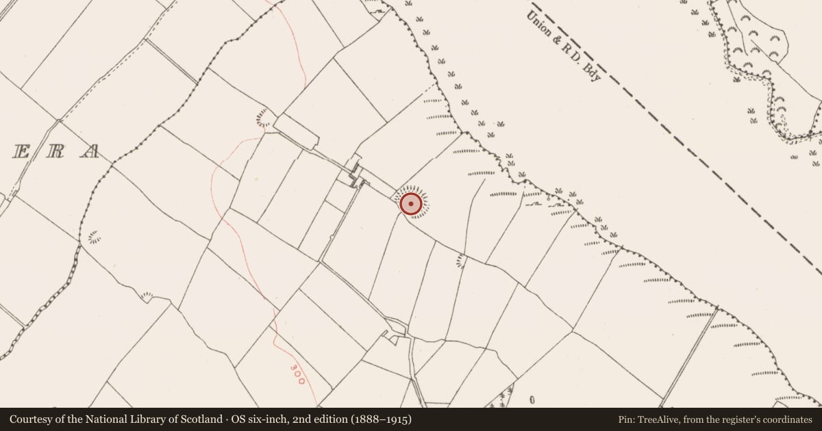 Ordnance Survey six-inch map, 2nd edition (1888–1915) covering the location of Ringfort - rath, Monintown, County Westmeath, with a pin at the register's coordinates