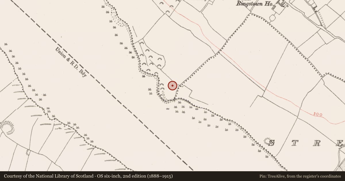 Ordnance Survey six-inch map, 2nd edition (1888–1915) covering the location of Earthwork, Ringstown, County Westmeath, with a pin at the register's coordinates