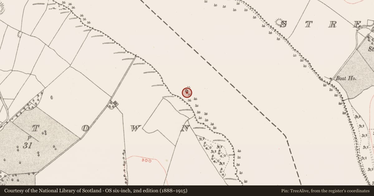 Ordnance Survey six-inch map, 2nd edition (1888–1915) covering the location of Crannog, Monintown, County Westmeath, with a pin at the register's coordinates