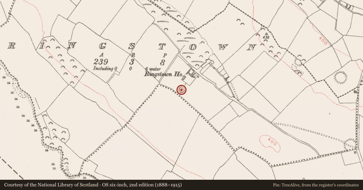 Ordnance Survey six-inch map, 2nd edition (1888–1915) covering the location of Ringfort - rath, Ringstown, County Westmeath, with a pin at the register's coordinates