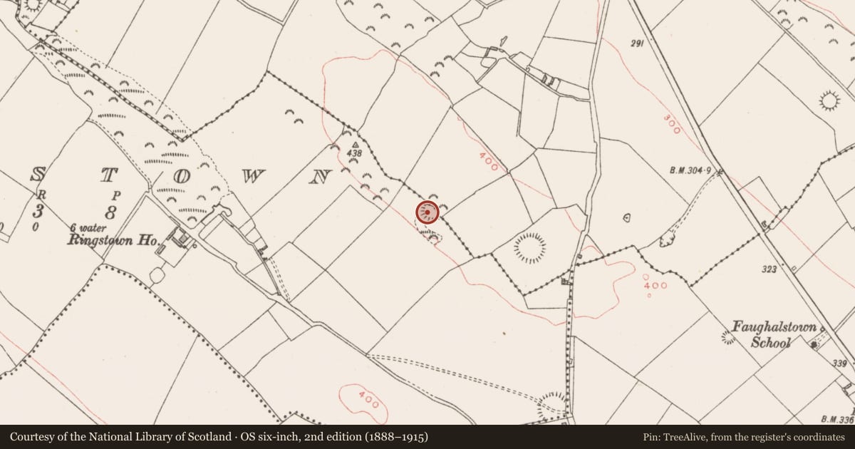 Ordnance Survey six-inch map, 2nd edition (1888–1915) covering the location of Ringfort - rath, Ringstown, Milltown, County Westmeath, with a pin at the register's coordinates