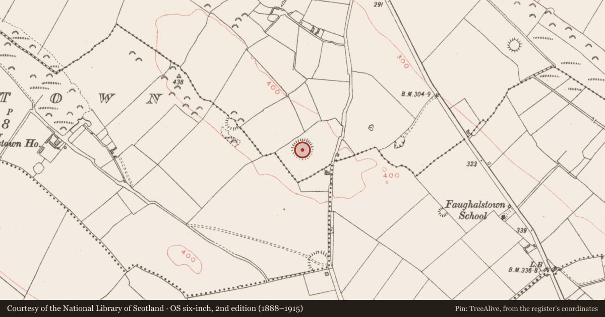 Ordnance Survey six-inch map, 2nd edition (1888–1915) covering the location of Ringfort - rath, Milltown, County Westmeath, with a pin at the register's coordinates