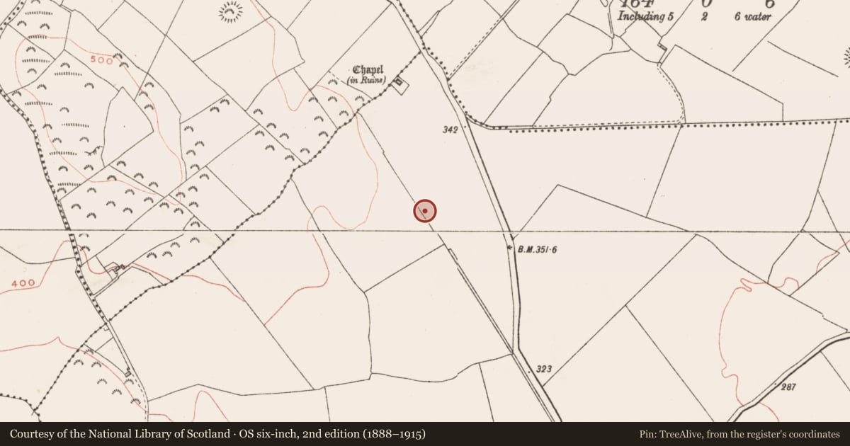 Ordnance Survey six-inch map, 2nd edition (1888–1915) covering the location of Quarry, Gartlandstown, County Westmeath, with a pin at the register's coordinates