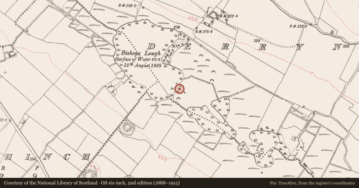 Ordnance Survey six-inch map, 2nd edition (1888–1915) covering the location of Crannog, Derrynagarragh, County Westmeath, with a pin at the register's coordinates