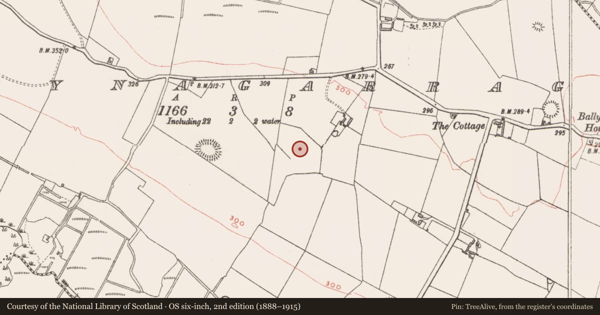 Ordnance Survey six-inch map, 2nd edition (1888–1915) covering the location of Enclosure, Derrynagarragh, County Westmeath, with a pin at the register's coordinates