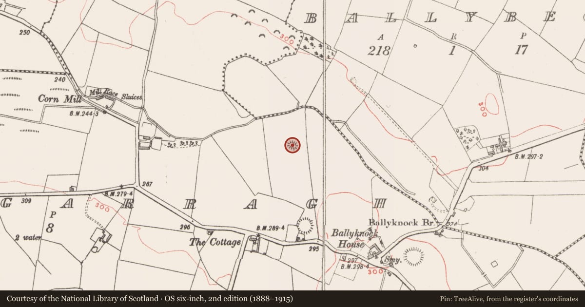 Ordnance Survey six-inch map, 2nd edition (1888–1915) covering the location of Ringfort - rath, Derrynagarragh, County Westmeath, with a pin at the register's coordinates