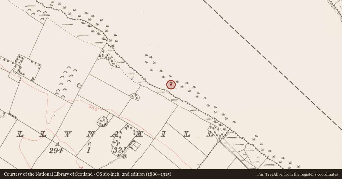 Ordnance Survey six-inch map, 2nd edition (1888–1915) covering the location of Crannog, Ballynakill, County Westmeath, with a pin at the register's coordinates