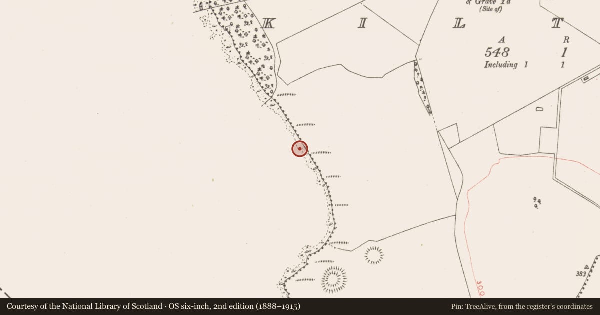 Ordnance Survey six-inch map, 2nd edition (1888–1915) covering the location of Crannog, Kiltoom, County Westmeath, with a pin at the register's coordinates
