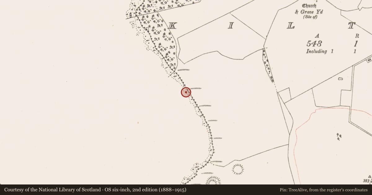 Ordnance Survey six-inch map, 2nd edition (1888–1915) covering the location of Crannog, Kiltoom, County Westmeath, with a pin at the register's coordinates