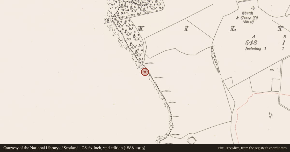 Ordnance Survey six-inch map, 2nd edition (1888–1915) covering the location of Crannog, Kiltoom, County Westmeath, with a pin at the register's coordinates