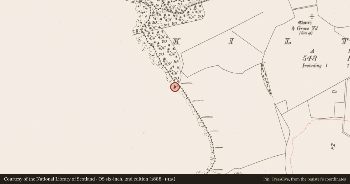 Ordnance Survey six-inch map, 2nd edition (1888–1915) covering the location of Crannog, Kiltoom, County Westmeath, with a pin at the register's coordinates