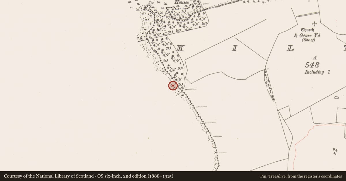 Ordnance Survey six-inch map, 2nd edition (1888–1915) covering the location of Crannog, Kiltoom, County Westmeath, with a pin at the register's coordinates