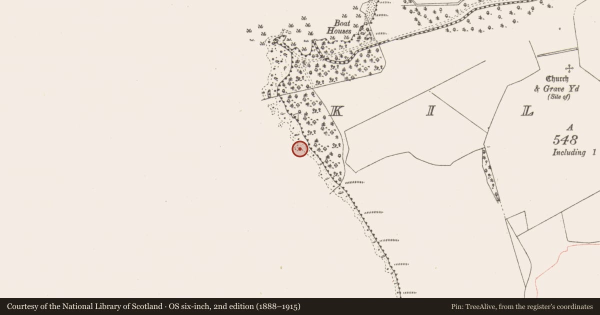 Ordnance Survey six-inch map, 2nd edition (1888–1915) covering the location of Crannog, Kiltoom, County Westmeath, with a pin at the register's coordinates